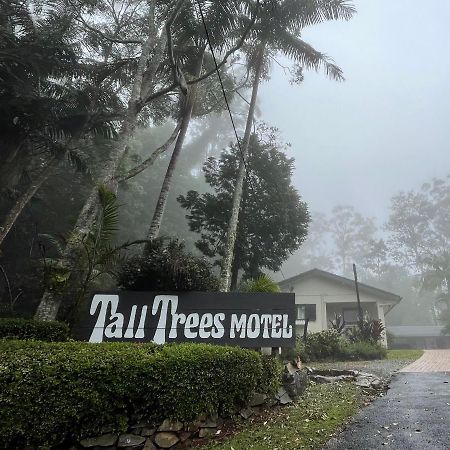 Tall Trees Motel Mountain Retreat Mount Tamborine Exteriér fotografie