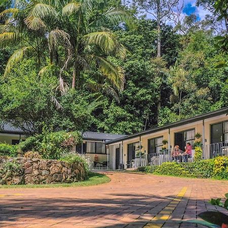 Tall Trees Motel Mountain Retreat Mount Tamborine Exteriér fotografie