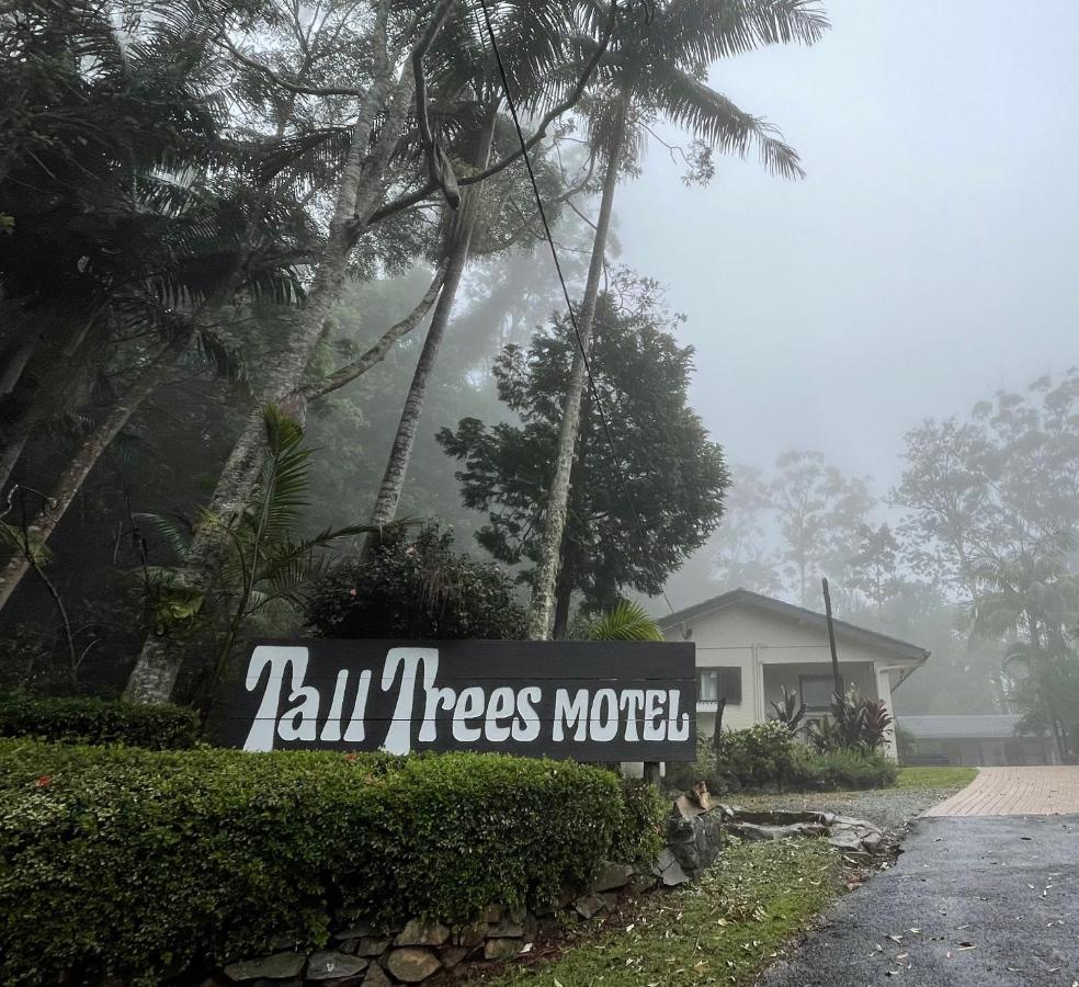 Tall Trees Motel Mountain Retreat Mount Tamborine Exteriér fotografie