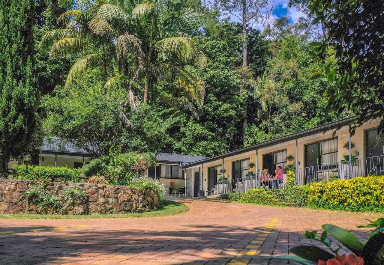 Tall Trees Motel Mountain Retreat Mount Tamborine Exteriér fotografie