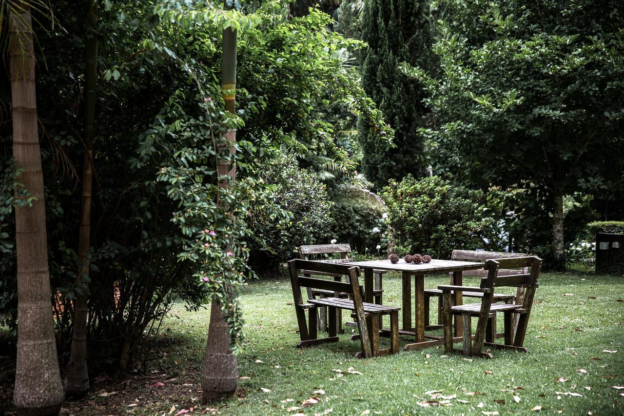 Tall Trees Motel Mountain Retreat Mount Tamborine Exteriér fotografie